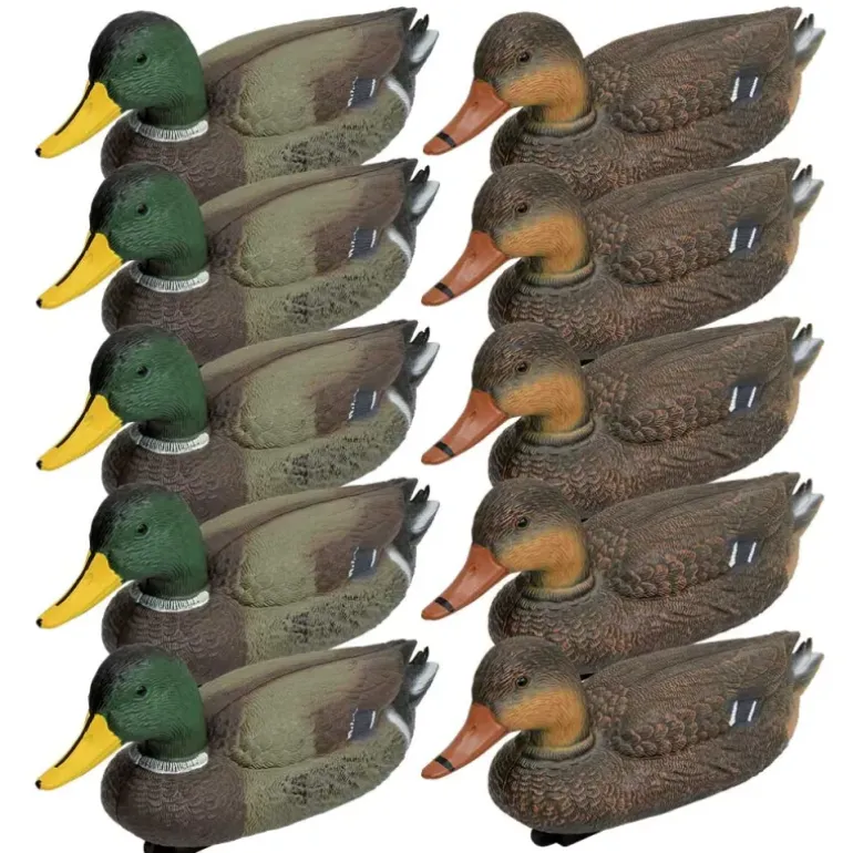 Pack 5 colverts mâles et 5 femelles