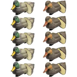 Pack 5 colverts mâles et 5 femelles moussés