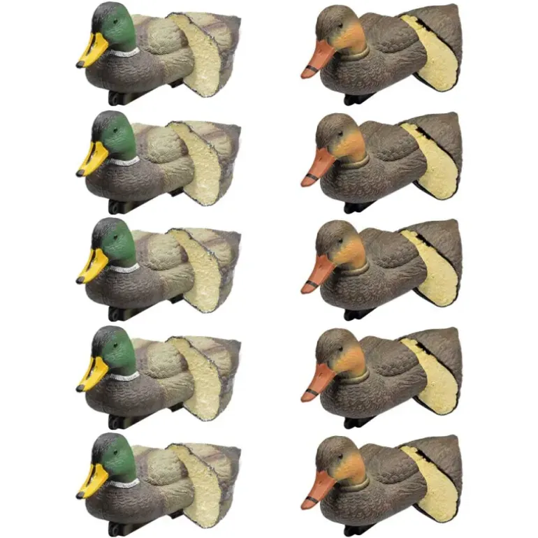 Pack 5 colverts mâles et 5 femelles moussés