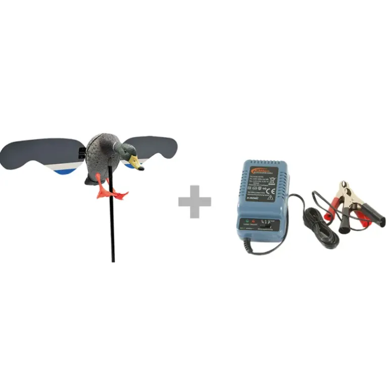 Pack Canard électrique à ailes tournantes 6V + chargeur