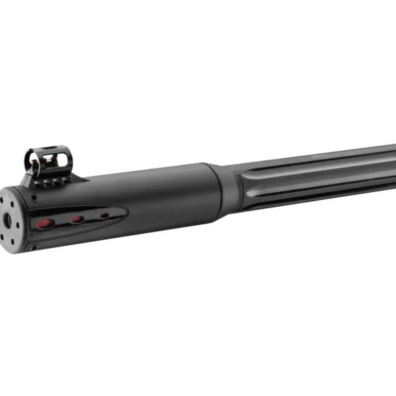 Pack carabine Roadster IGT Gen2 10x 4.5mm 19,9J L131cm + 4x32