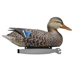 Pack de 6 Colvert Femelle Ultra HD moussé