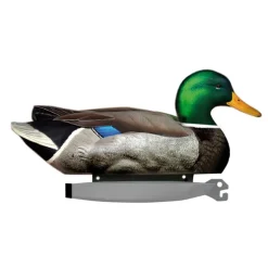 Pack de 6 Colvert Male Ultra HD moussé