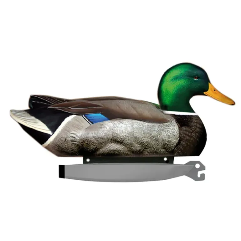 Pack de 6 Colvert Male Ultra HD moussé