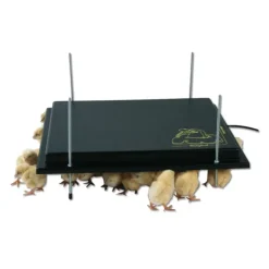 Panneau chauffant poussin 22 W