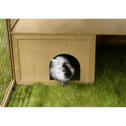 Parc extérieur en pin pour petits animaux avec abri