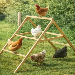 Perchoir poules en bois 2 échelles avec balançoire