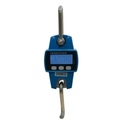 Peson électronique 250 kg boitier métal graduation en 50g