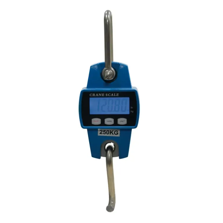 Peson électronique 250 kg boitier métal graduation en 50g