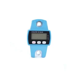 Peson électronique 250 kg boitier métal graduation en 50g