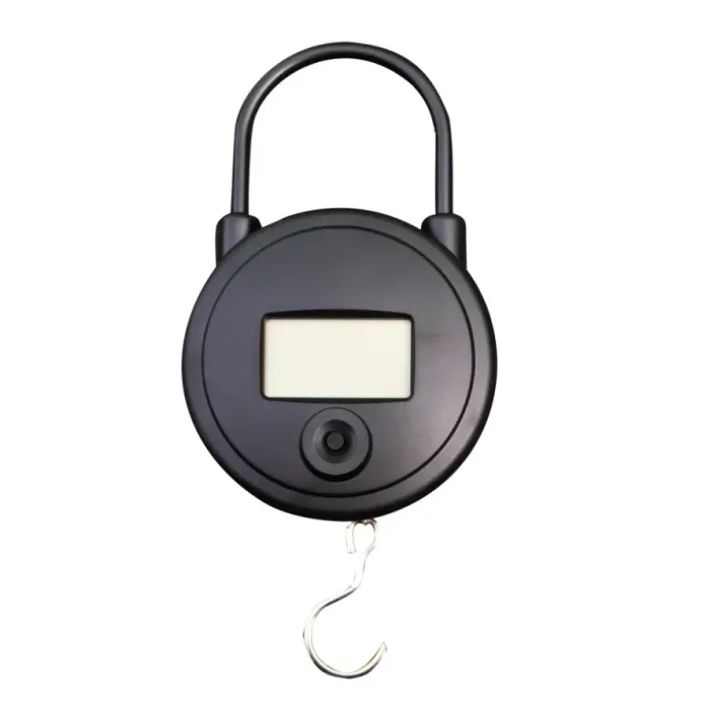Peson électronique 25 KG graduation en 10g