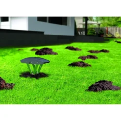 Piège à taupe Supercat® - Simple et très efficace