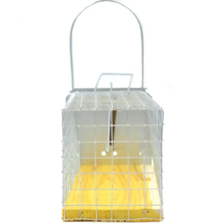 Piège cage à rat 1 entée 235 x 80 x 100 mm