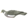 Pigeon ramier en coquille léger à l'unité