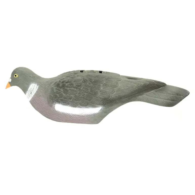 Pigeon ramier en coquille léger à l'unité