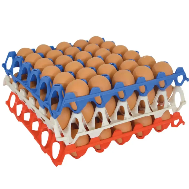 Plateau oeufs plastique empilable 30X30 CM alimentaire lot de 10