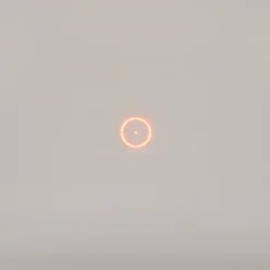 Point rouge Electrosight à réticule de visée multiple L 8cm