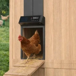 Portier automatique solaire télécommande et application Smartphone
