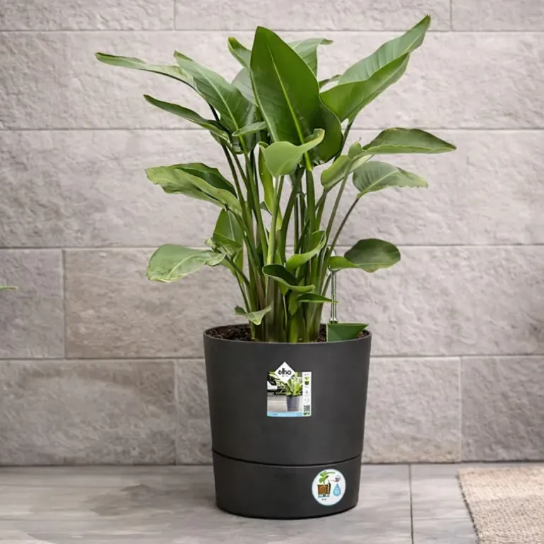 Pot de jardin Ø43xH43cm gris anthracite Elho® en plastique recyclé