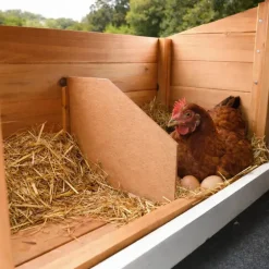 Poulailler bois 3 poules Confort toit plastique 112 x 77 x 92 cm
