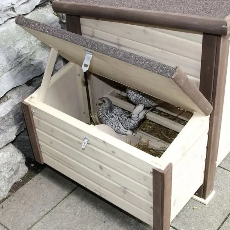 Poulailler chauffant et isolé avec thermostat 3 à 4 poules