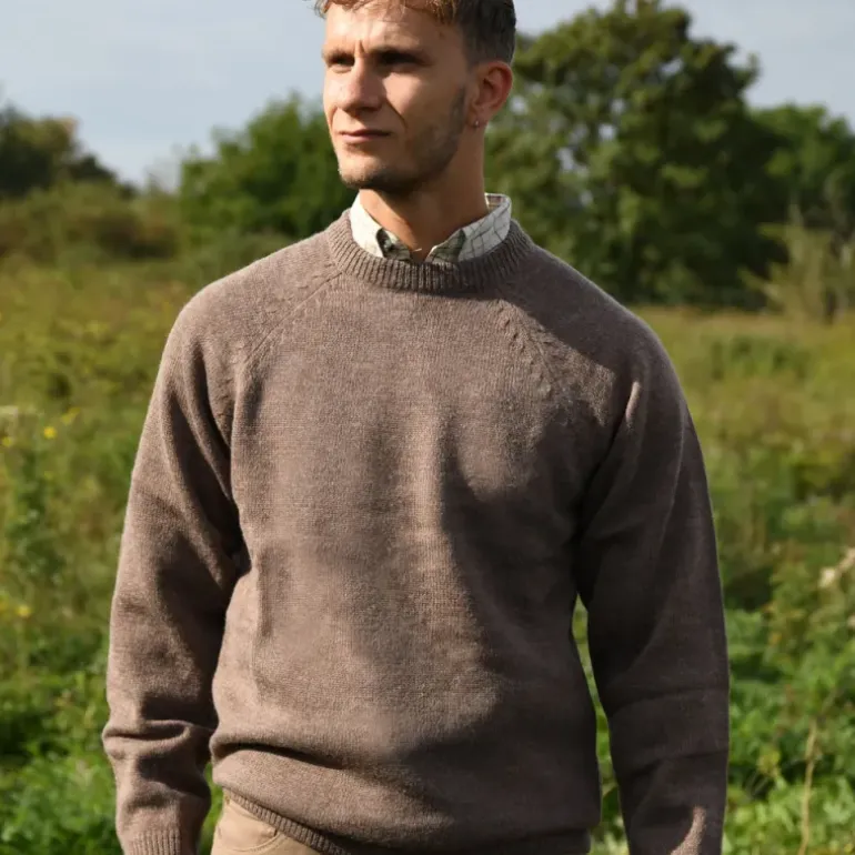 Pull Roanne col rond brun