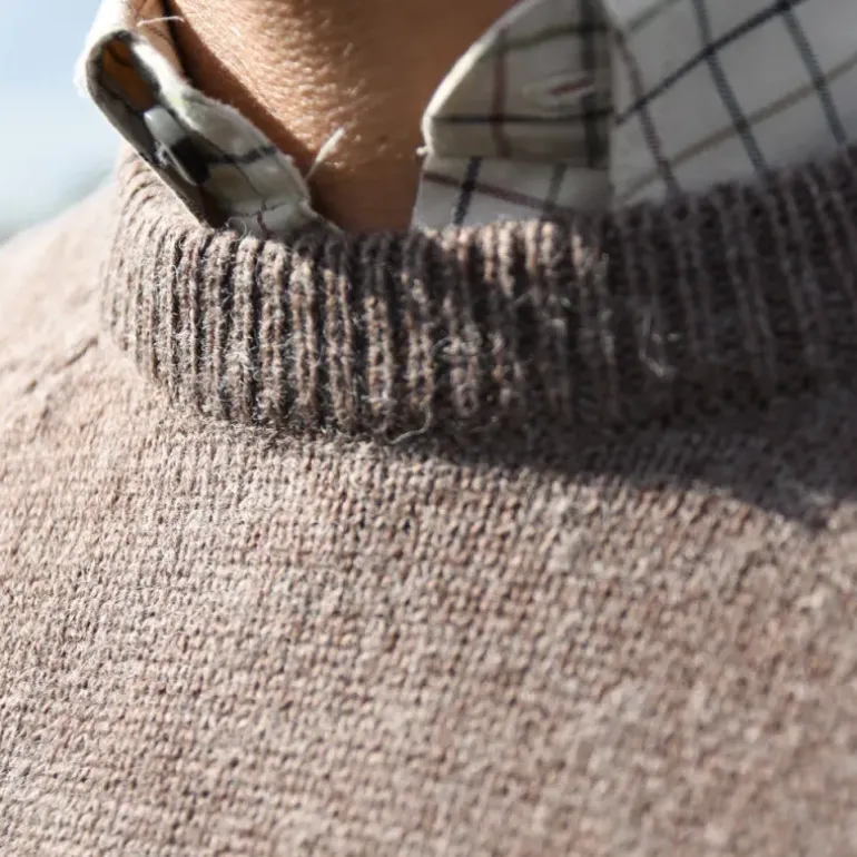 Pull Roanne col rond brun