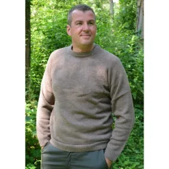 Pull Roanne col rond brun