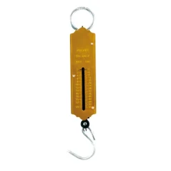Romaine de poche - peson - 25kg