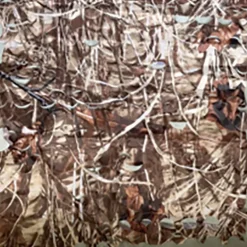 Rouleau 20m de Filet de camouflage roseaux largeur 2,30 m