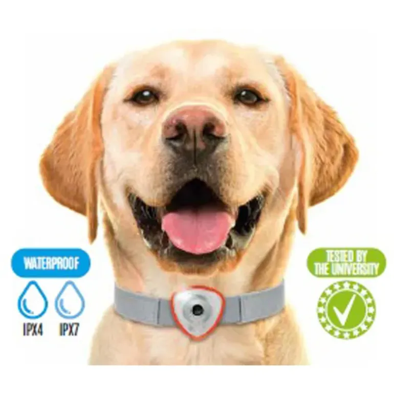 Répulsif électronique anti tiques et puces pour chien et chats orange
