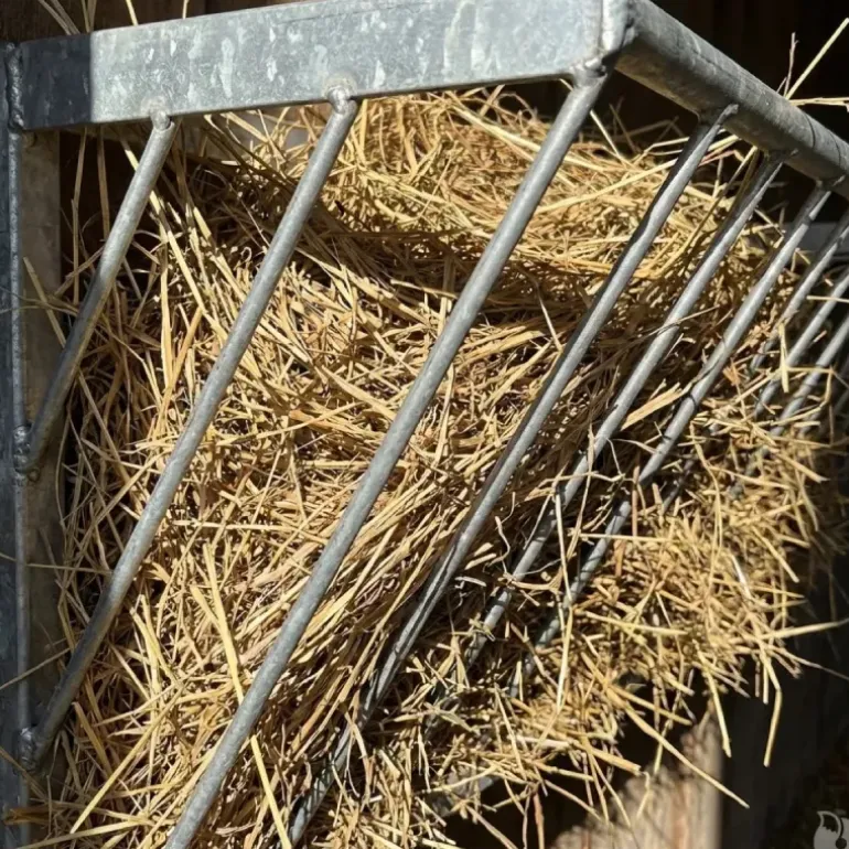 Râtelier à foin pour veaux métal galvanisé fixation murale