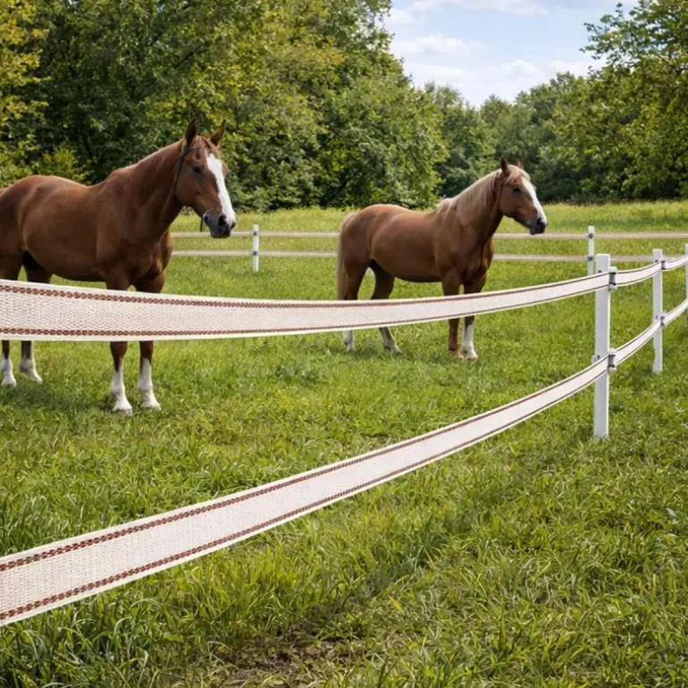Ruban électrifié 40mm blanc liseré marron - 200m - Spécial cheval - CHAPRON LEMENAGER