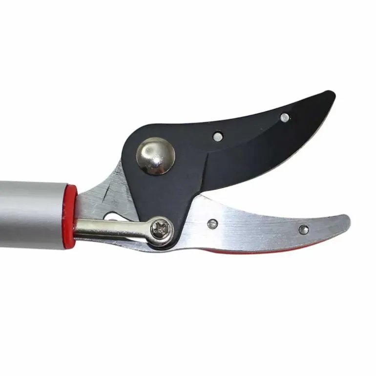 Sécateur télescopique à long manche - Coupe précise jusqu'à 2,30 m