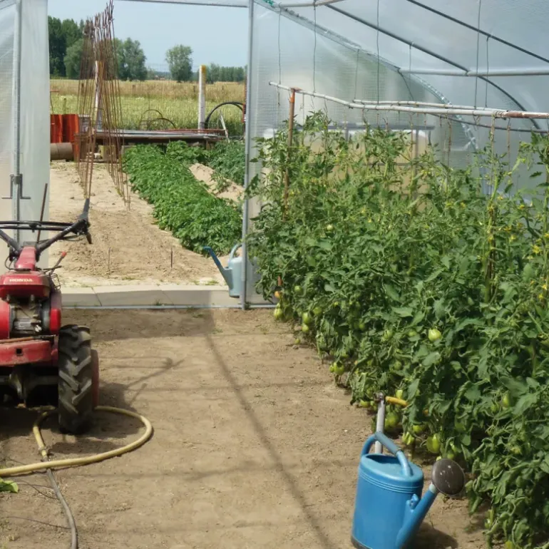 Serre de jardin avec aérations Largeur 5 m