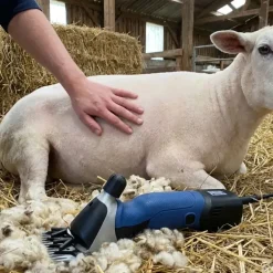 Tondeuse pour moutons - Heiniger Xpert