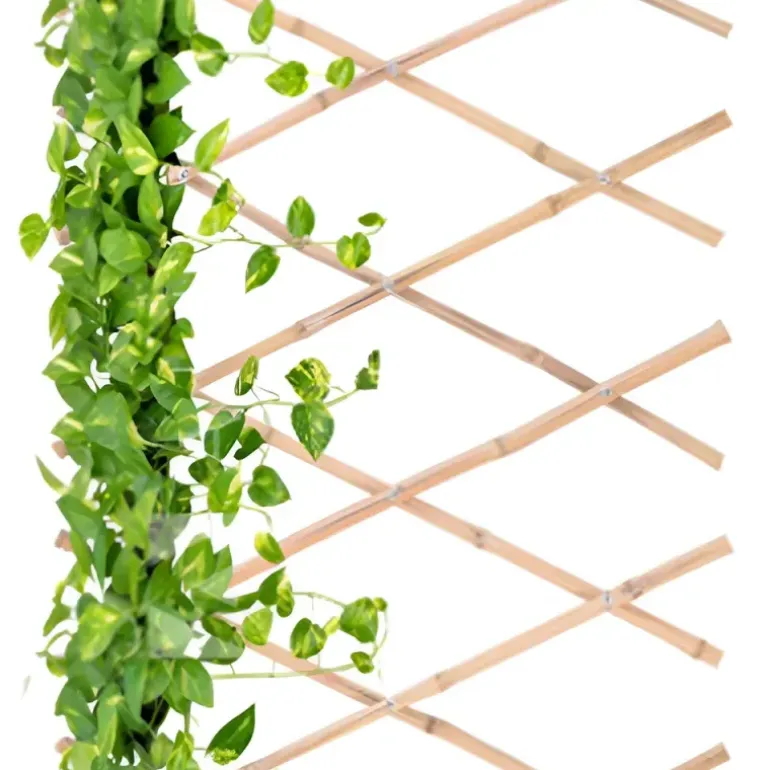 Treillis bambou 70 x 180 cm