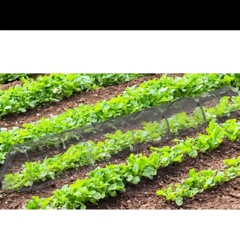 Tunnel de protection pour potager maillé - 3 m