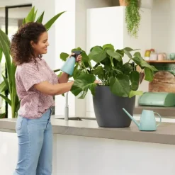 Vaporisateur à plantes 0,7 L Elho