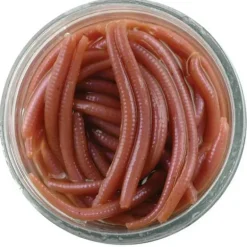Vers Naturels Powerbait® 3cm - Appât pour Truite et Carnassiers