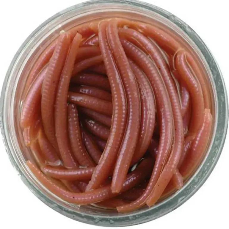 Vers Naturels Powerbait® 3cm - Appât pour Truite et Carnassiers