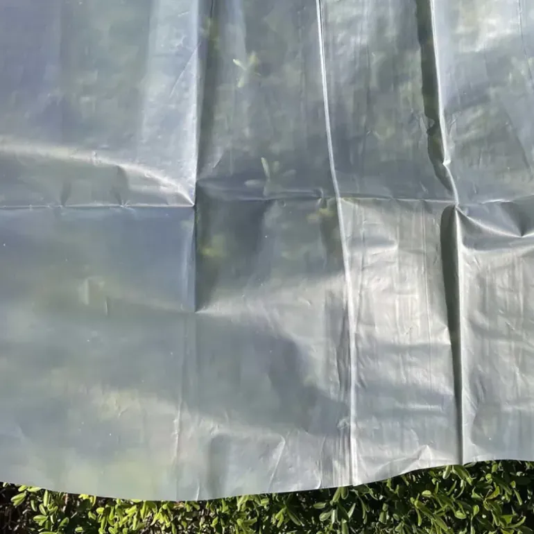 Voile de croissance semi-transparent 2,5x10m pour protection des cultures